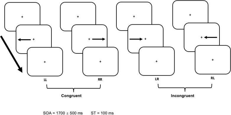 A figure from Conflict processing networks: A directional analysis of stimulus-response compatibilities using MEG Conflict processing networks