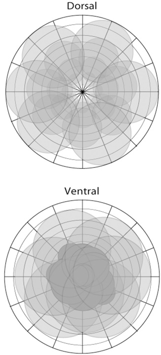 A figure from Two Visual Pathways in Primates Based on Sampling of Space: Exploitation and Exploration of Visual Information
