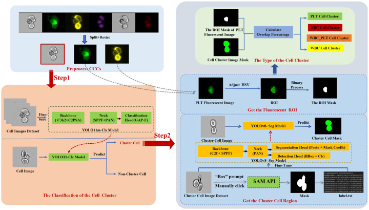 A figure from Automatic Classification of Circulating Blood Cell Clusters based on Multi-channel Flow Cytometry Imaging