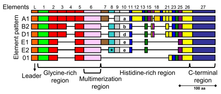 A figure from SpTransformer proteins from the purple sea urchin opsonize bacteria, augment phagocytosis, and retard bacterial growth Anti-microbial SpTransformer proteins