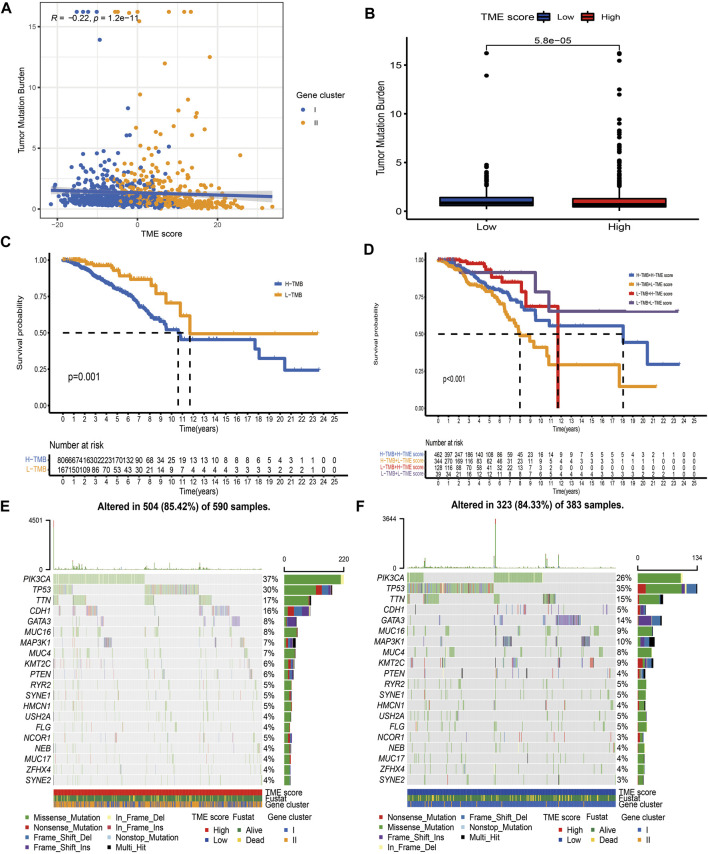 A figure from Tumor Microenvironment-Mediated Immune Profiles Characterized by Distinct Survival Outcome and Immunotherapeutic Efficacy in Breast Cancer Xu et al. TME-Mediated Immune Subtypes in BC