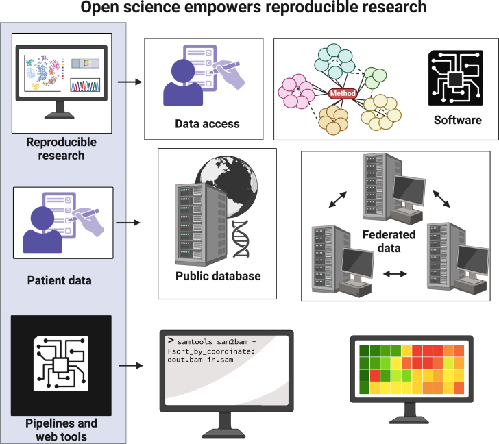 A figure from Balancing ethical data sharing and open science for reproducible research in biomedical data science