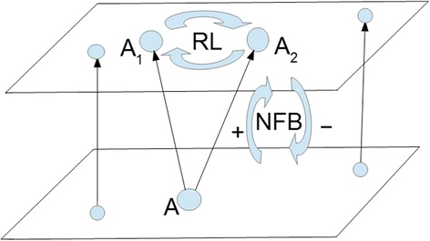 A figure from Carcinogenesis: alterations in reciprocal interactions of normal functional structure of biologic systems