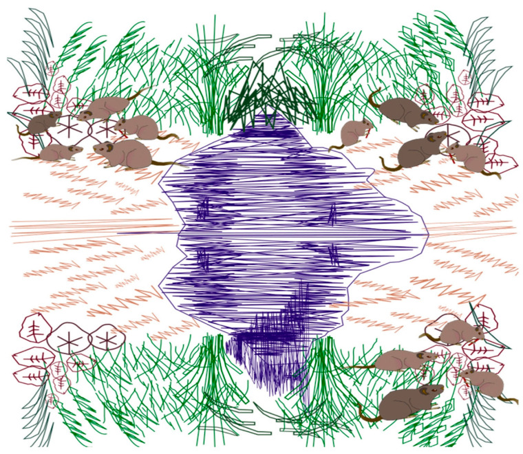 A figure from A Hybrid Nonlinear Greater Cane Rat Algorithm with Sine–Cosine Algorithm for Global Optimization and Constrained Engineering Applications