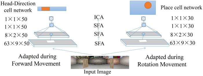 A figure from Vision-Based Robot Navigation through Combining Unsupervised Learning and Hierarchical Reinforcement Learning