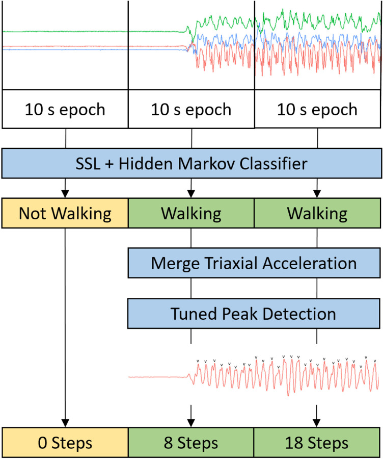 A figure from Development and Validation of a Machine Learning Wrist-worn Step Detection Algorithm with Deployment in the UK Biobank