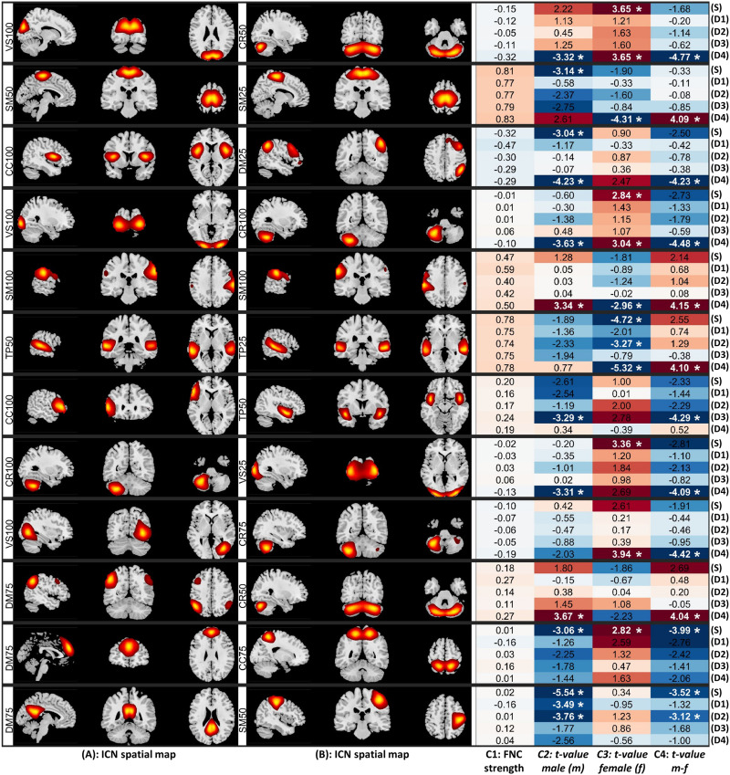 A figure from Multi-spatial-scale dynamic interactions between functional sources reveal sex-specific changes in schizophrenia