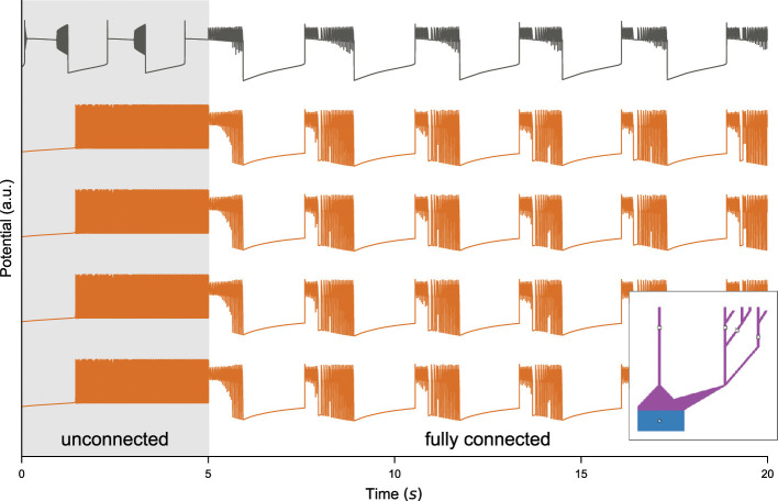 A figure from Arbor-TVB: a novel multi-scale co-simulation framework with a case study on neural-level seizure generation and whole-brain propagation