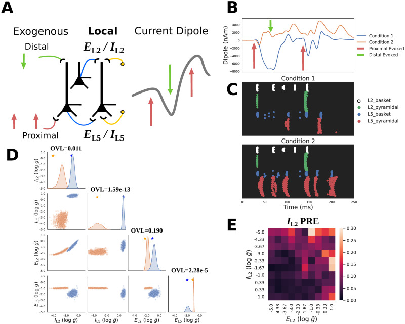 A figure from Methods and considerations for estimating parameters in biophysically detailed neural models with simulation based inference Applying simulation based inference to biophysically detailed neural models