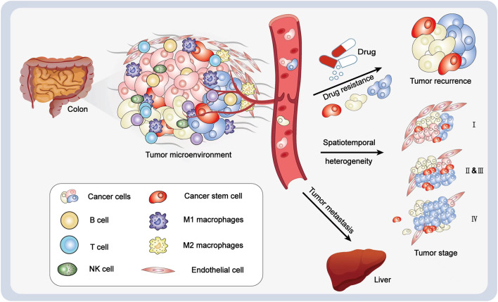 A figure from Spatial Transcriptomics for Tumor Heterogeneity Analysis Li et al. Spatial Transcriptomics for Tumor Profiling