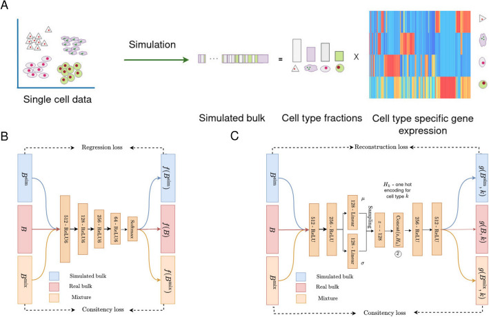 A figure from DISSECT: deep semi-supervised consistency regularization for accurate cell type fraction and gene expression estimation