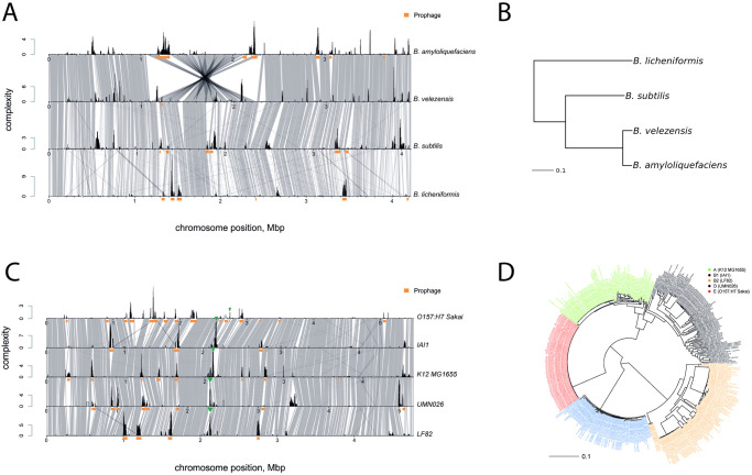 A figure from Genome Complexity Browser: Visualization and quantification of genome variability Genome Complexity Browser: Visualization and quantification of genome variability