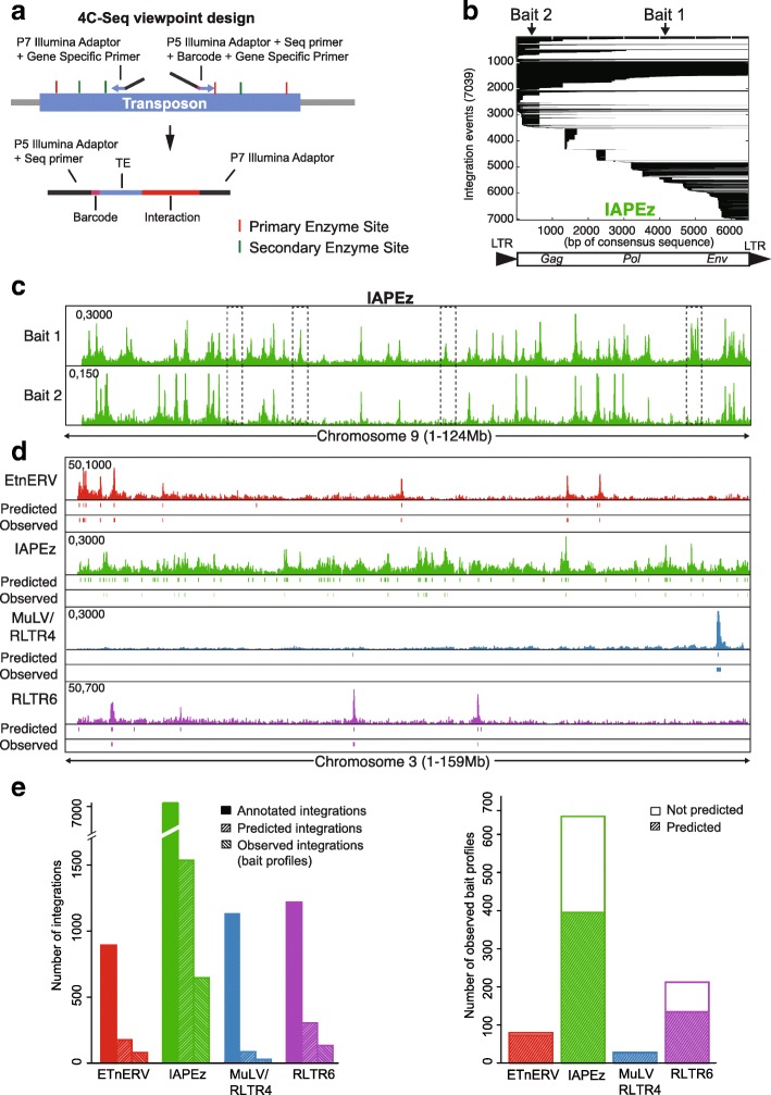 A figure from Analysis of 3D genomic interactions identifies candidate host genes that transposable elements potentially regulate