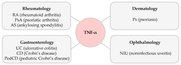 A figure from The Role of Tumor Necrosis Factor Alpha (TNF-α) in Autoimmune Disease and Current TNF-α Inhibitors in Therapeutics