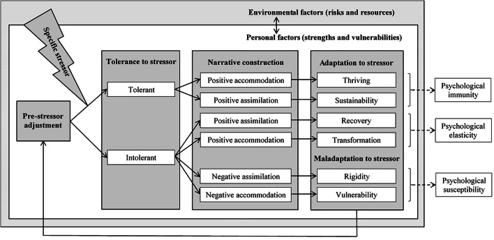 A figure from Resilience mechanisms at work: The psychological immunity-psychological elasticity (PI-PE) model of psychological resilience