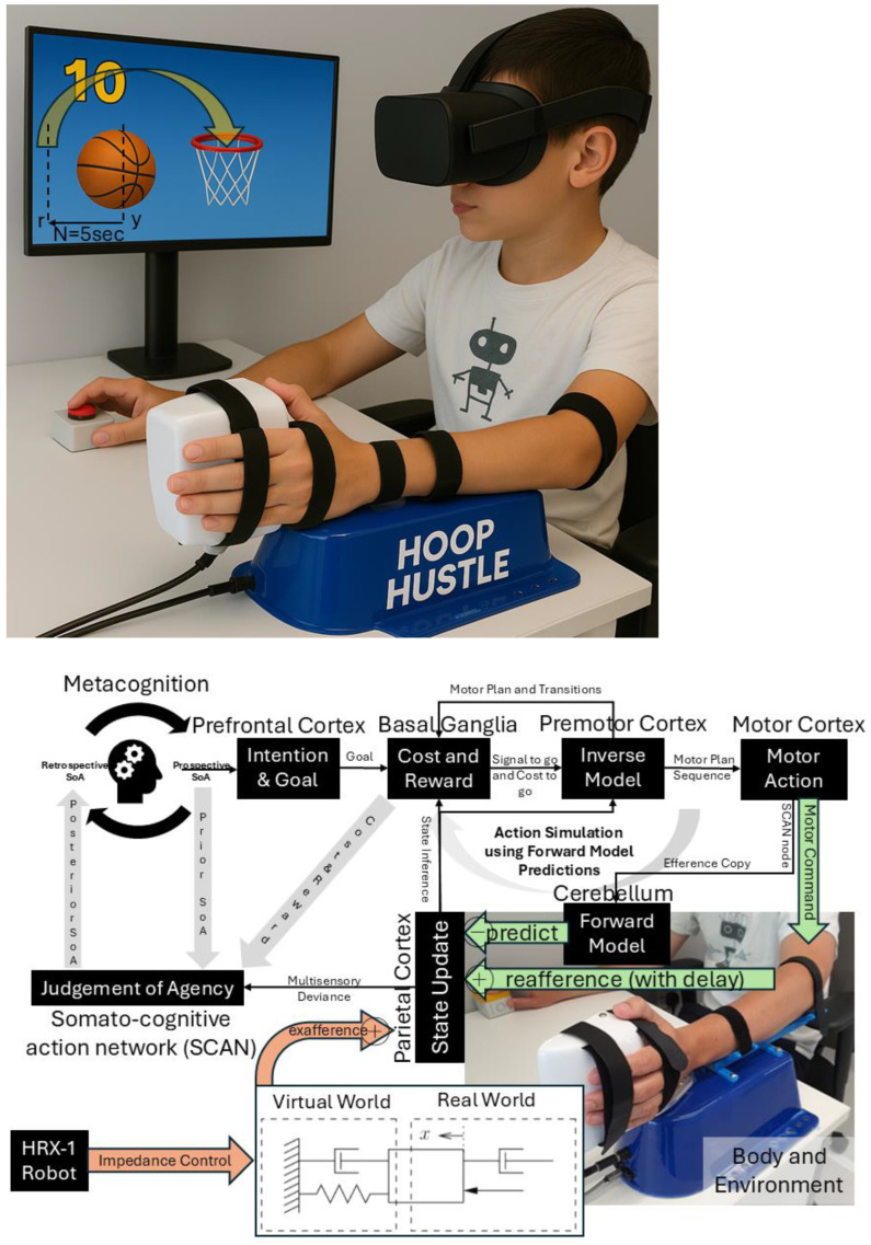 A figure from Neurocomputational Mechanisms of Sense of Agency: Literature Review for Integrating Predictive Coding and Adaptive Control in Human–Machine Interfaces