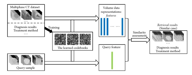 A figure from Sparse Codebook Model of Local Structures for Retrieval of Focal Liver Lesions Using Multiphase Medical Images