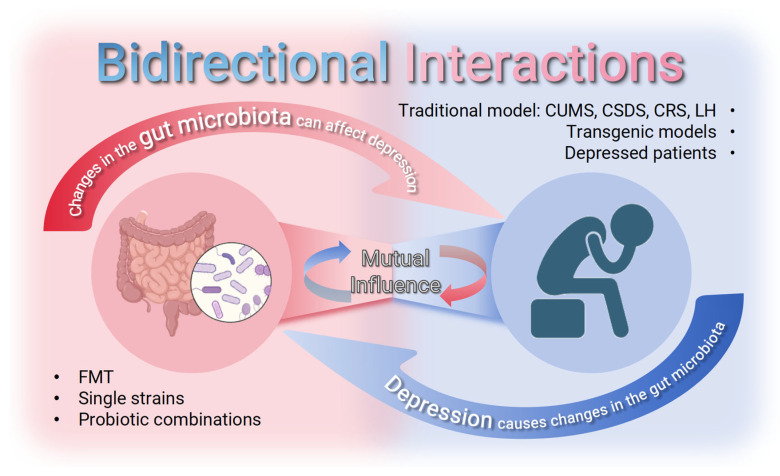 A figure from Gut Microbiota Dysbiosis in Depression: Pathological Correlations, Molecular Pathways, and Therapeutic Interventions