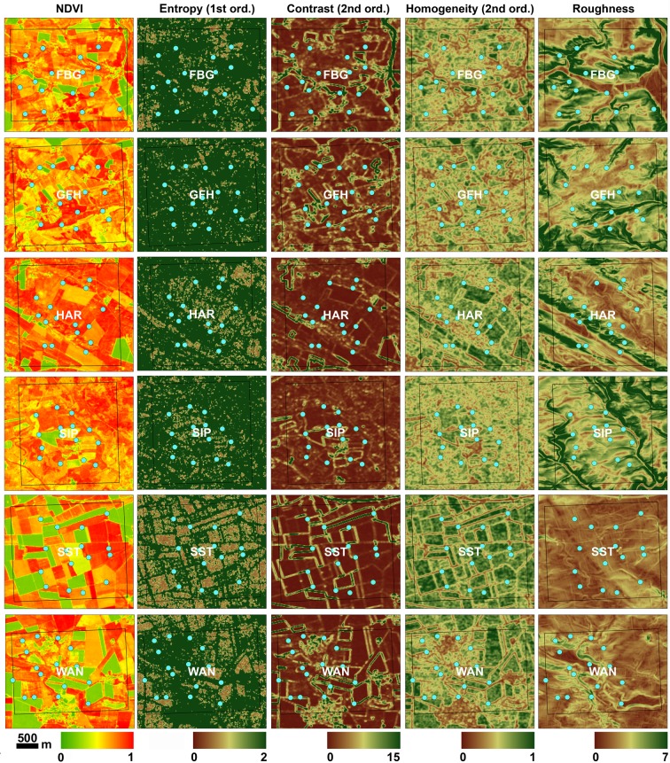 A figure from Modelling patterns of pollinator species richness and diversity using satellite image texture Satellite image textures and biodiversity models