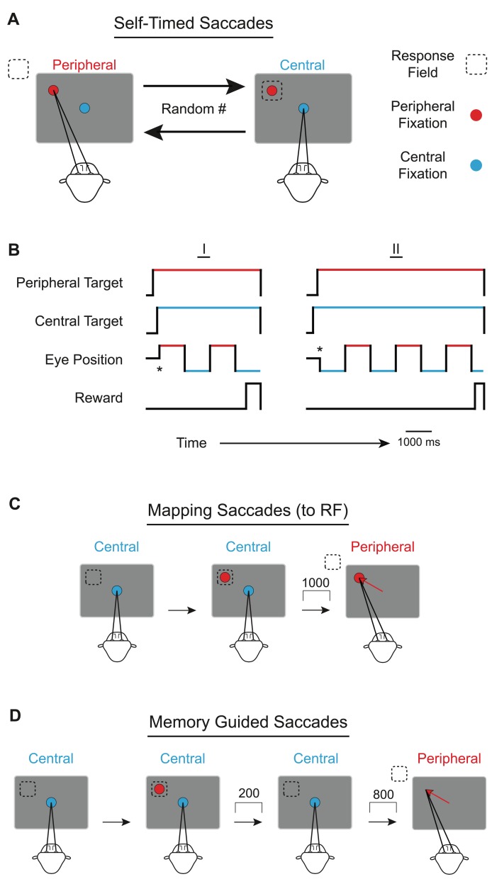 A figure from Temporal Production Signals in Parietal Cortex Temporal Production in Area LIP