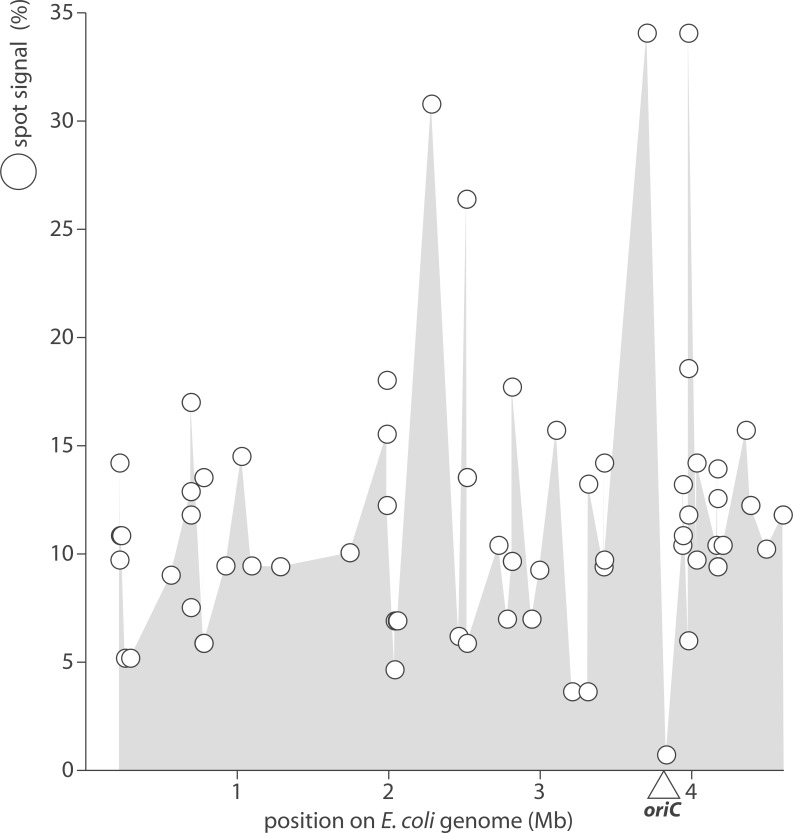 A figure from SPOt: A novel and streamlined microarray platform for observing cellular tRNA levels Description and testing of new platform for tRNA profiling