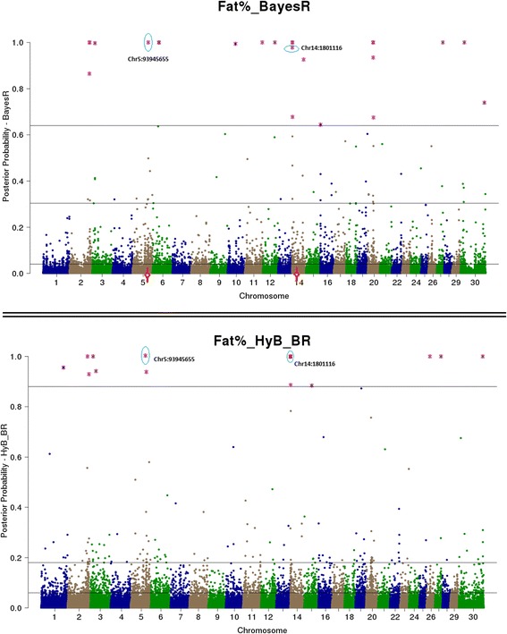 A figure from A hybrid expectation maximisation and MCMC sampling algorithm to implement Bayesian mixture model based genomic prediction and QTL mapping
