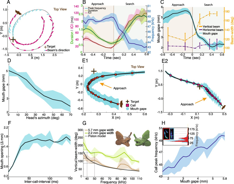 A figure from Echolocating bats rapidly adjust their mouth gape to control spatial acquisition when scanning a target