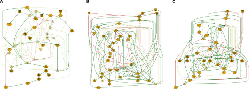 A figure from Data-driven inference of Boolean networks from transcriptomes to predict cellular differentiation and reprogramming