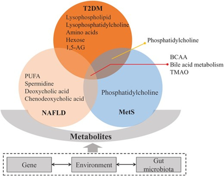 A figure from Implementation of multiomic mass spectrometry approaches for the evaluation of human health following environmental exposure