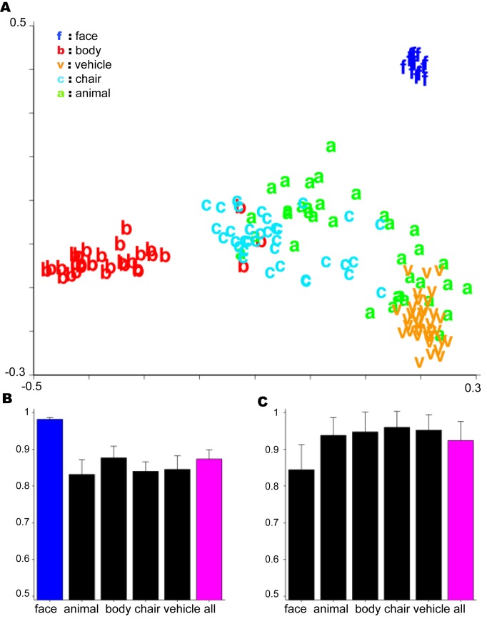 A figure from The Invariance Hypothesis Implies Domain-Specific Regions in Visual Cortex Invariance and Domain Specificity