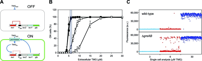 A figure from Transcriptional Infidelity Promotes Heritable Phenotypic Change in a Bistable Gene Network Transcriptional Infidelity, Stochastic Switching