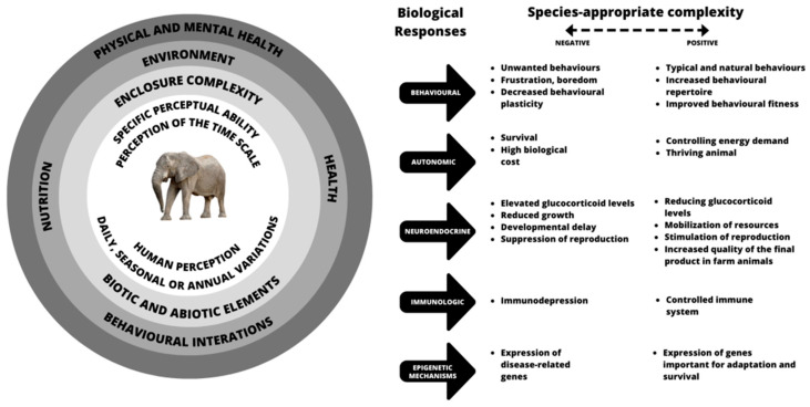 A figure from Review of the Effects of Enclosure Complexity and Design on the Behaviour and Physiology of Zoo Animals