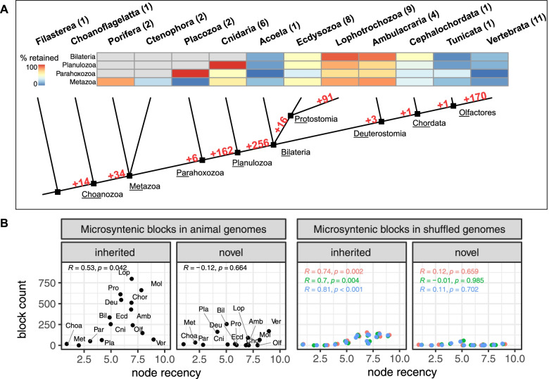 A figure from Emergence of distinct syntenic density regimes is associated with early metazoan genomic transitions
