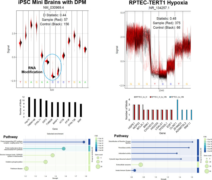 A figure from Opportunities for RNA sequencing in physiology: from big data to understanding homeostasis and heterogeneity PHYSIOLOGY AND RNA SEQUENCING
