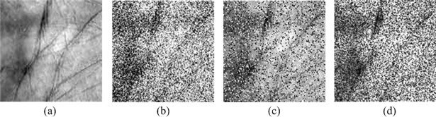A figure from Hypercomplex extreme learning machine with its application in multispectral palmprint recognition Multispectral palmprint recognition