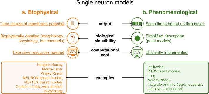 A figure from When <i> in vitro </i> is not enough: <i> In silico </i> strategies to investigate functional and dynamical properties of large-scale neuronal assemblies