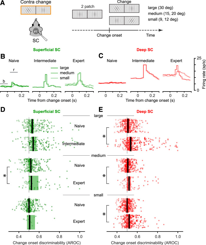 A figure from Neuronal Features of Visual Attention in the Mouse Superior Colliculus Depend on Learned Behavioral Relevance