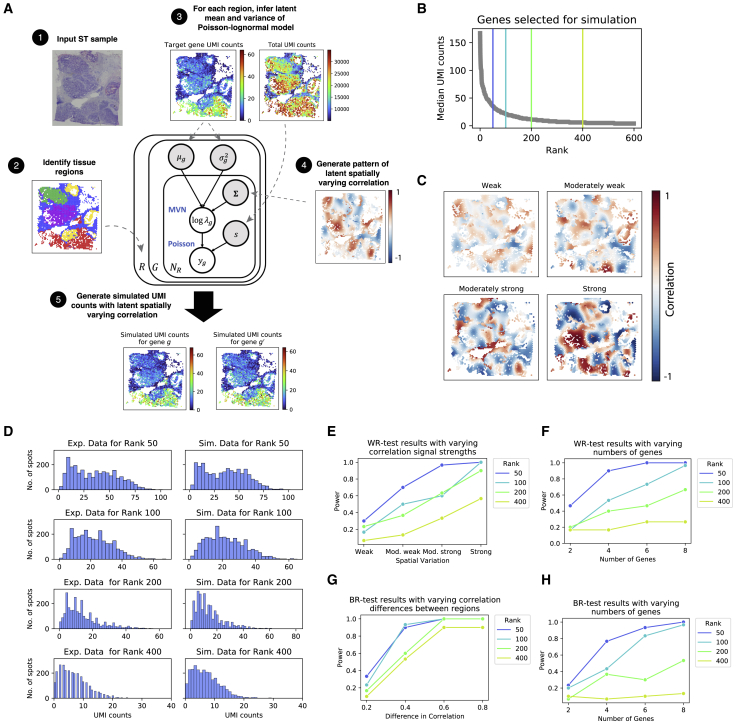 A figure from SpatialCorr identifies gene sets with spatially varying correlation structure