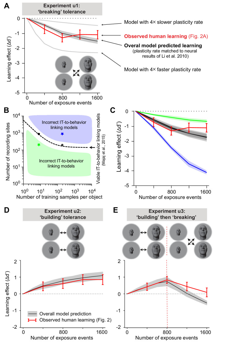 A figure from Unsupervised changes in core object recognition behavior are predicted by neural plasticity in inferior temporal cortex