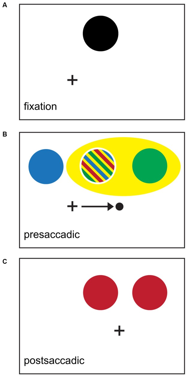A figure from Perisaccadic Updating of Visual Representations and Attentional States: Linking Behavior and Neurophysiology