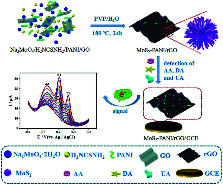 A figure from Electrochemical sensor based on a three dimensional nanostructured MoS 2 nanosphere-PANI/reduced graphene oxide composite for simultaneous detection of ascorbic acid, dopamine, and uric acid † † Electronic supplementary information (ESI) available. See DOI: 10.1039/c8ra09511f
