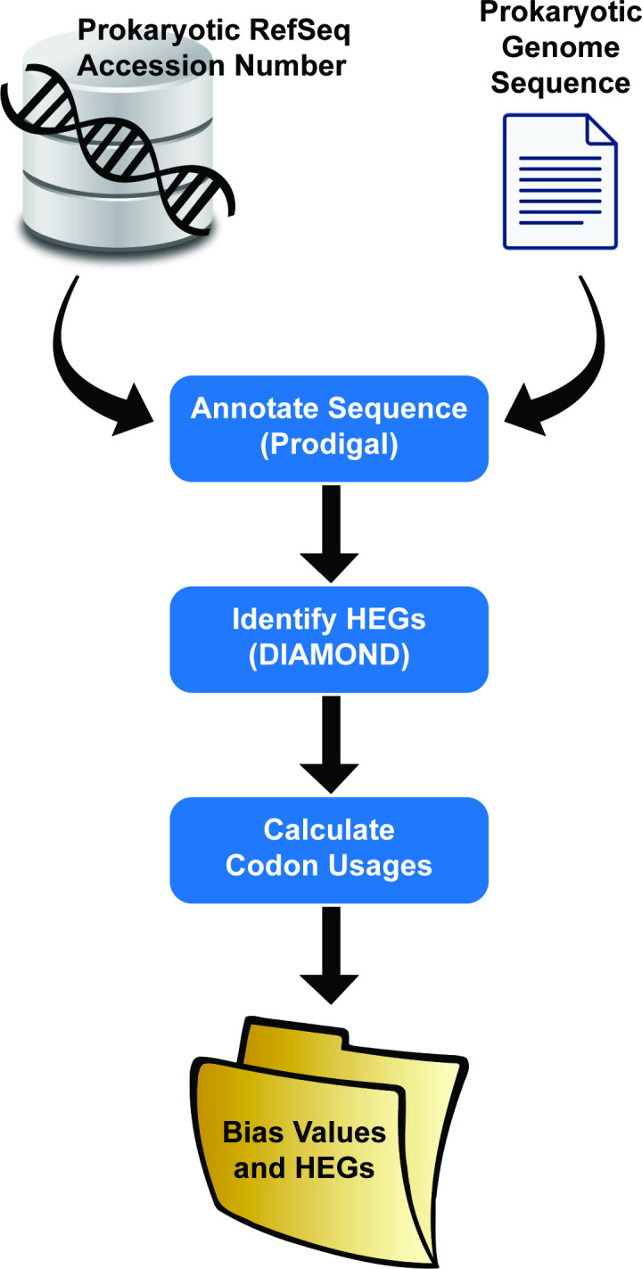 A figure from The Dynamic Codon Biaser: calculating prokaryotic codon usage biases http://mgen.microbiologyresearch.org