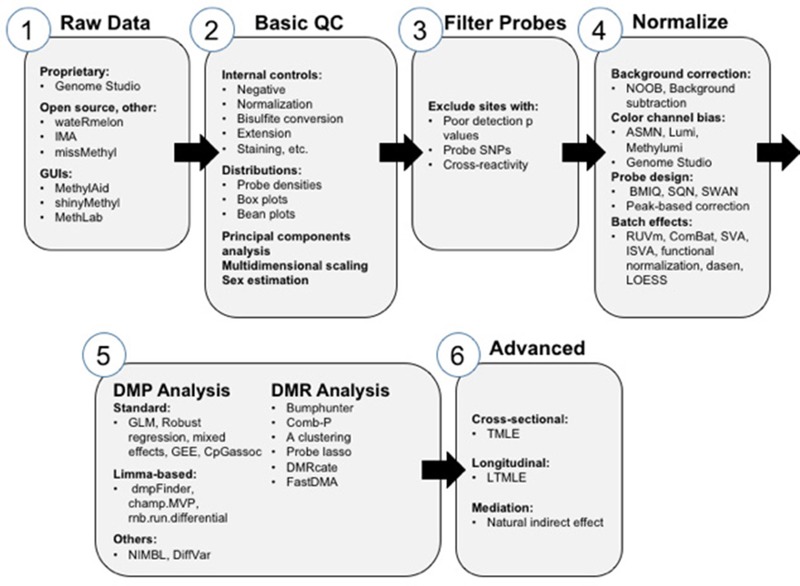 A figure from Small-Magnitude Effect Sizes in Epigenetic End Points are Important in Children’s Environmental Health Studies: The Children’s Environmental Health and Disease Prevention Research Center’s Epigenetics Working Group