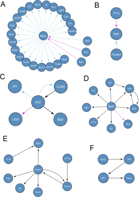 A figure from Gene network inference using continuous time Bayesian networks: a comparative study and application to Th17 cell differentiation