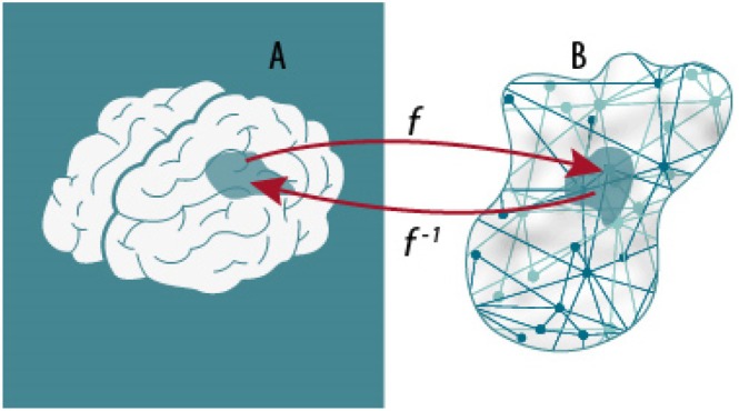 A figure from A complex network perspective on brain disease Network structure of disease David Papo and Javier M. Buldú