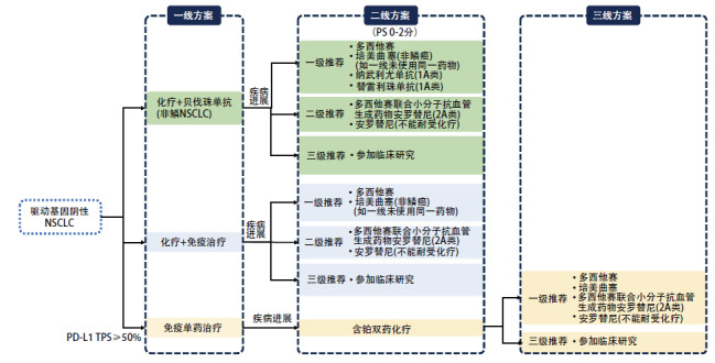 A figure from 驱动基因阴性非小细胞肺癌二线治疗中国专家共识 Chinese Expert Consensus on Second-line Treatment for Non-small Cell Lung Cancer with Negative Driver Gene Mutations