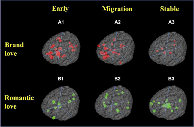 A figure from Neural mechanisms of brand love relationship dynamics: Is the development of brand love relationships the same as that of interpersonal romantic love relationships?