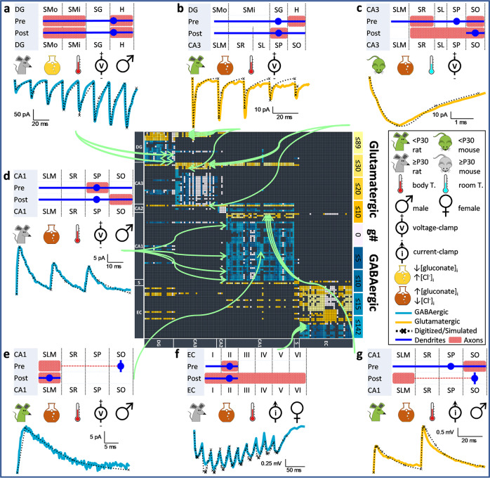 A figure from Normalized unitary synaptic signaling of the hippocampus and entorhinal cortex predicted by deep learning of experimental recordings