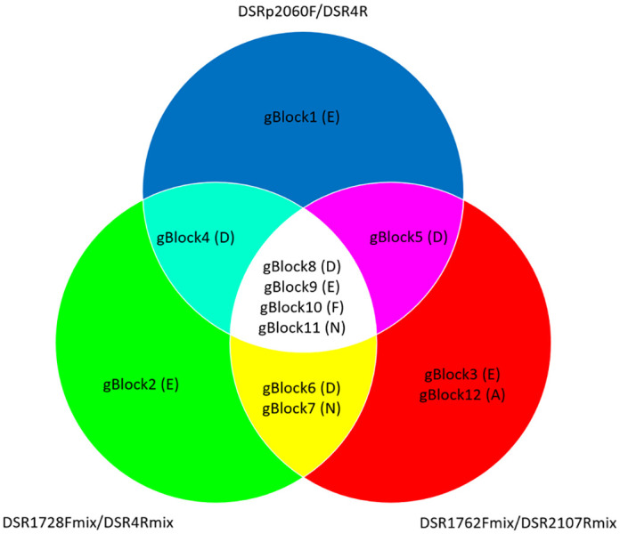 A figure from Effect of target gene sequence evenness and dominance on real-time PCR quantification of artificial sulfate-reducing microbial communities Effect of target gene sequence evenness and dominance on real-time PCR quantification