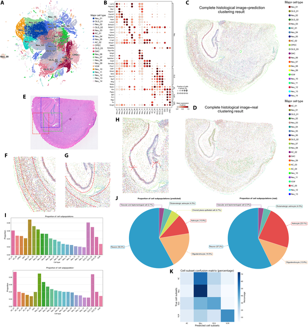 A figure from PRTS: Predicting Single-Cell Spatial Transcriptomic Maps from Histological Images